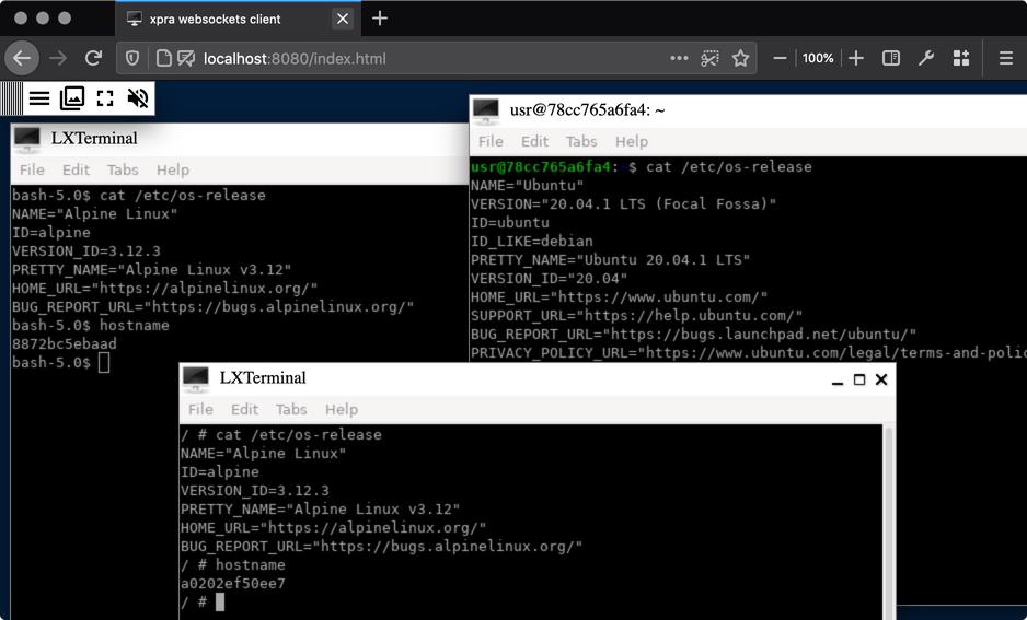 Xpra running many terminals from different containers
