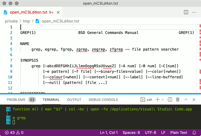 Man page in Visual Studio Code